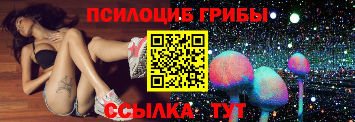Галлюциногенные грибы Cubensis Кузнецк